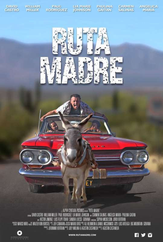 فيلم Ruta Madre 2019 مترجم اون لاين