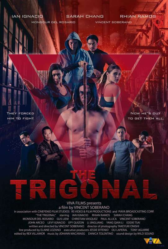 فيلم The Trigonal: Fight for Justice 2018 مترجم اون لاين