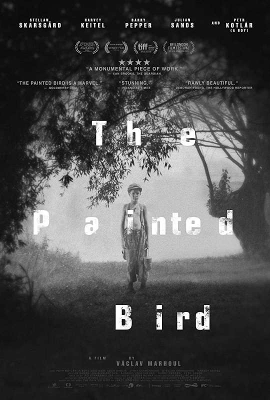 فيلم The Painted Bird 2019 مترجم اون لاين