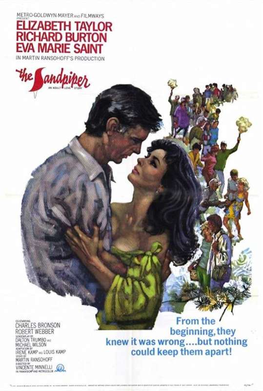 فيلم The Sandpiper 1965 مترجم اون لاين