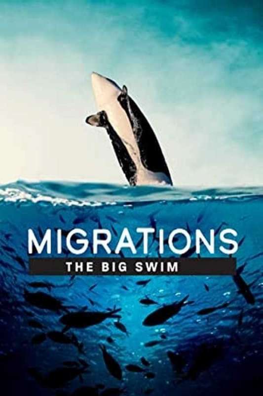 فيلم Migrations: The Big Swim 2020 مترجم اون لاين