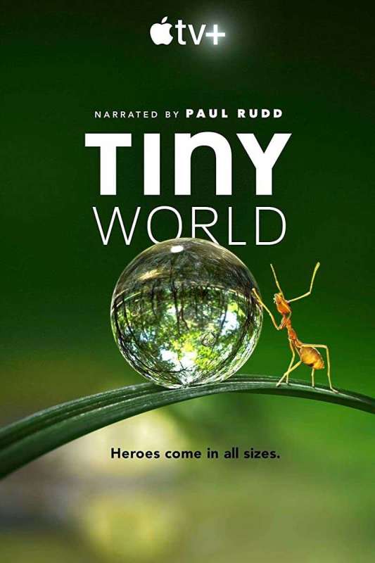 مسلسل Tiny World الموسم الاول الحلقة 2