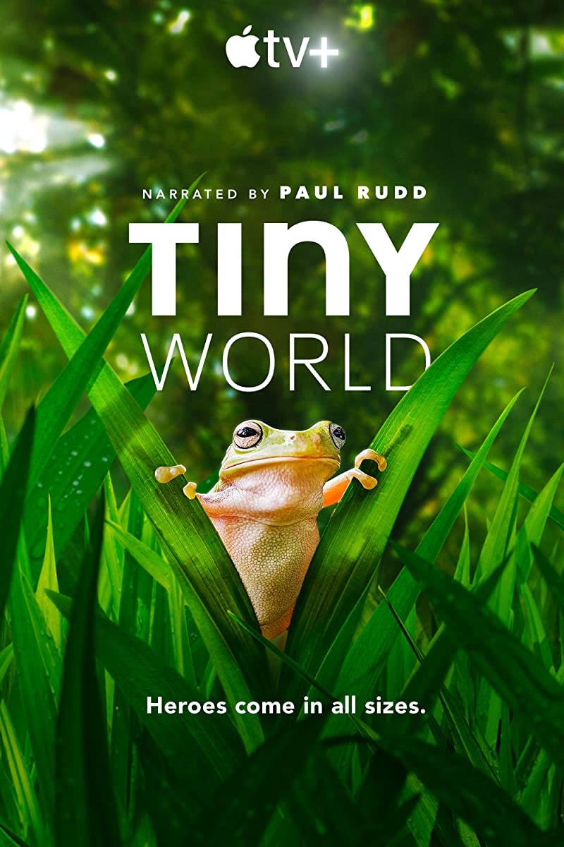 مسلسل Tiny World الموسم الثاني الحلقة 1