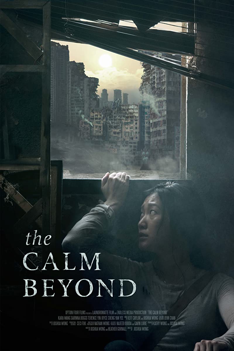 فيلم The Calm Beyond 2020 مترجم اون لاين