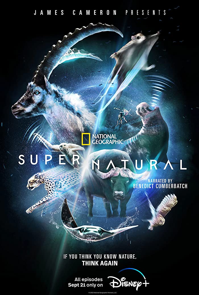 مسلسل Super/Natural 2022 الموسم الاول الحلقة 3