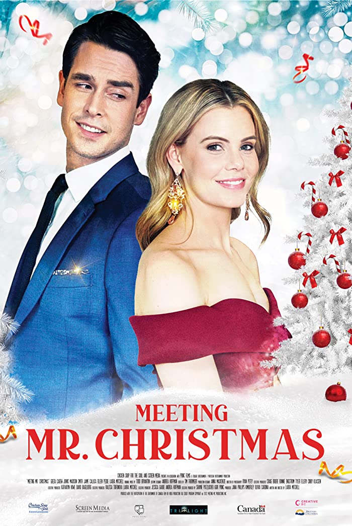 فيلم Meeting Mr. Christmas 2022 مترجم اون لاين